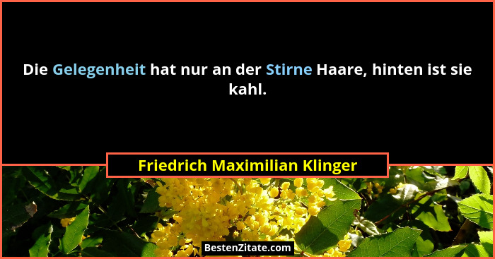 Die Gelegenheit hat nur an der Stirne Haare, hinten ist sie kahl.... - Friedrich Maximilian Klinger