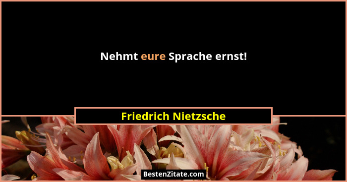 Nehmt eure Sprache ernst!... - Friedrich Nietzsche