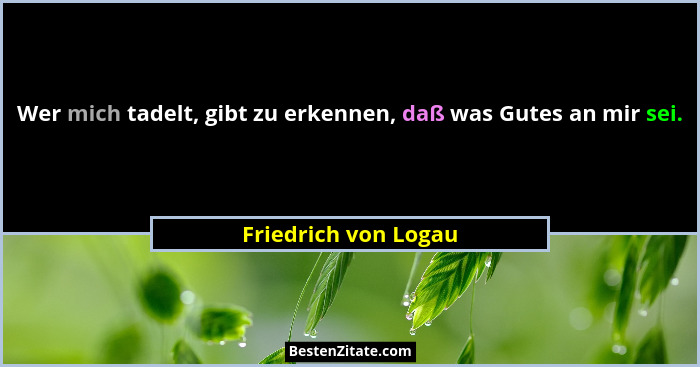 Wer mich tadelt, gibt zu erkennen, daß was Gutes an mir sei.... - Friedrich von Logau