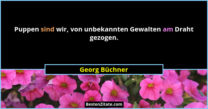 Puppen sind wir, von unbekannten Gewalten am Draht gezogen.... - Georg Büchner