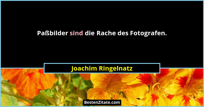 Paßbilder sind die Rache des Fotografen.... - Joachim Ringelnatz