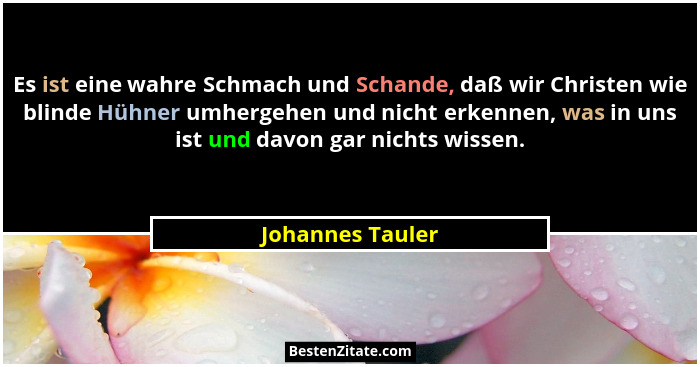 Es ist eine wahre Schmach und Schande, daß wir Christen wie blinde Hühner umhergehen und nicht erkennen, was in uns ist und davon ga... - Johannes Tauler