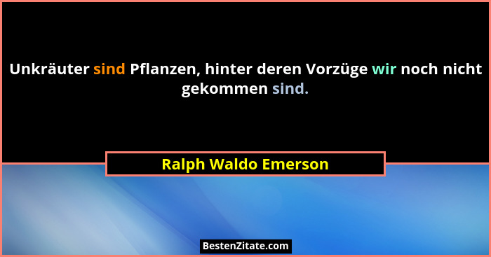 Unkräuter sind Pflanzen, hinter deren Vorzüge wir noch nicht gekommen sind.... - Ralph Waldo Emerson