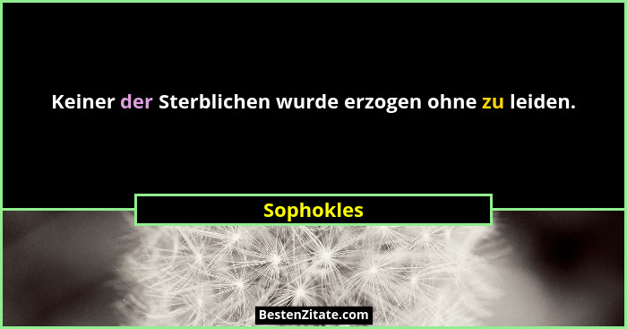 Keiner der Sterblichen wurde erzogen ohne zu leiden.... - Sophokles