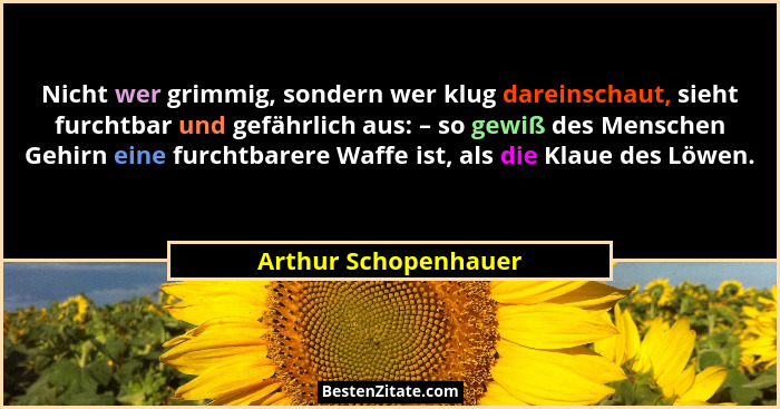 Nicht wer grimmig, sondern wer klug dareinschaut, sieht furchtbar und gefährlich aus: – so gewiß des Menschen Gehirn eine furcht... - Arthur Schopenhauer