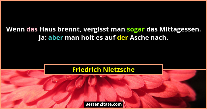 Wenn das Haus brennt, vergisst man sogar das Mittagessen. Ja: aber man holt es auf der Asche nach.... - Friedrich Nietzsche
