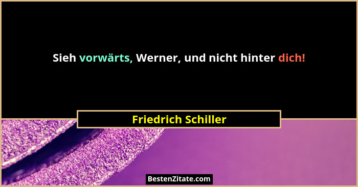 Sieh vorwärts, Werner, und nicht hinter dich!... - Friedrich Schiller