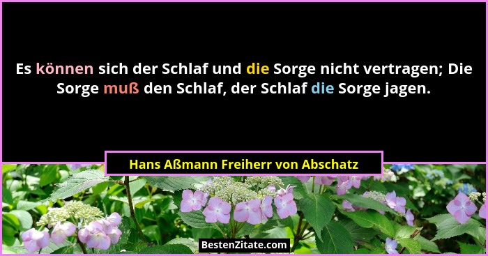 Es können sich der Schlaf und die Sorge nicht vertragen; Die Sorge muß den Schlaf, der Schlaf die Sorge jagen.... - Hans Aßmann Freiherr von Abschatz