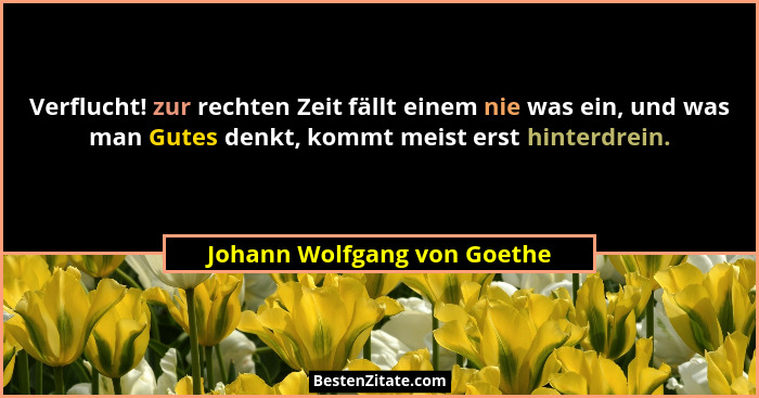 Verflucht! zur rechten Zeit fällt einem nie was ein, und was man Gutes denkt, kommt meist erst hinterdrein.... - Johann Wolfgang von Goethe