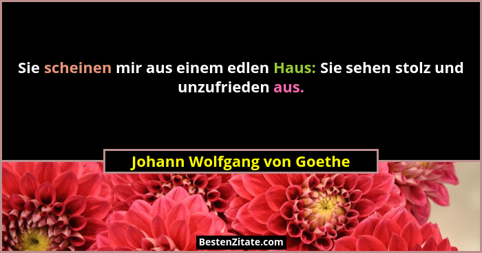 Sie scheinen mir aus einem edlen Haus: Sie sehen stolz und unzufrieden aus.... - Johann Wolfgang von Goethe