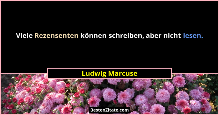 Viele Rezensenten können schreiben, aber nicht lesen.... - Ludwig Marcuse