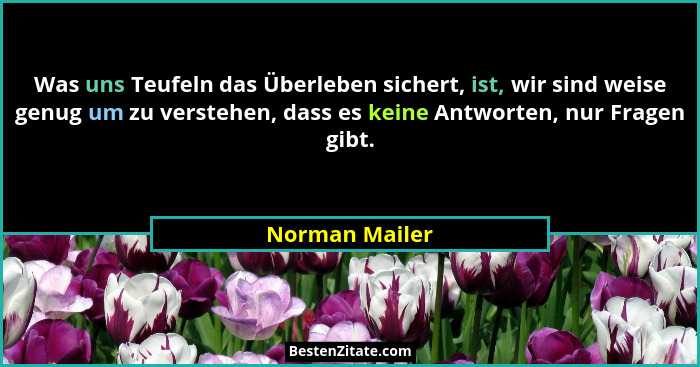 Was uns Teufeln das Überleben sichert, ist, wir sind weise genug um zu verstehen, dass es keine Antworten, nur Fragen gibt.... - Norman Mailer