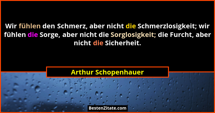 Wir fühlen den Schmerz, aber nicht die Schmerzlosigkeit; wir fühlen die Sorge, aber nicht die Sorglosigkeit; die Furcht, aber ni... - Arthur Schopenhauer
