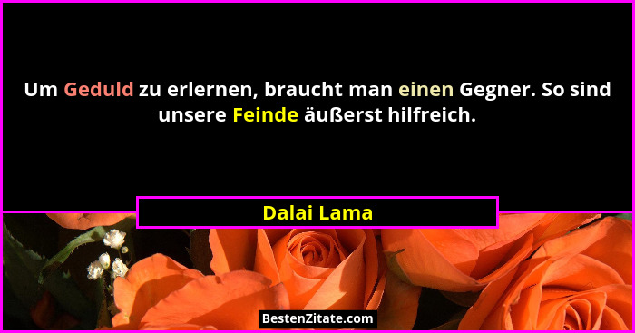 Um Geduld zu erlernen, braucht man einen Gegner. So sind unsere Feinde äußerst hilfreich.... - Dalai Lama
