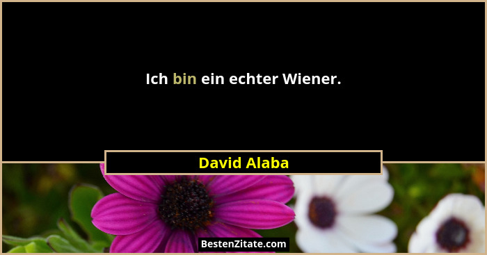 Ich bin ein echter Wiener.... - David Alaba