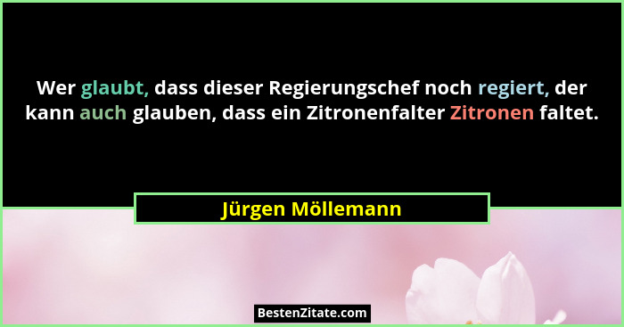 Wer glaubt, dass dieser Regierungschef noch regiert, der kann auch glauben, dass ein Zitronenfalter Zitronen faltet.... - Jürgen Möllemann