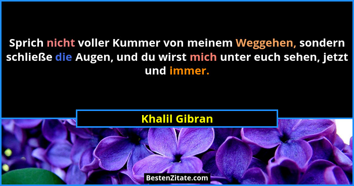 Sprich nicht voller Kummer von meinem Weggehen, sondern schließe die Augen, und du wirst mich unter euch sehen, jetzt und immer.... - Khalil Gibran