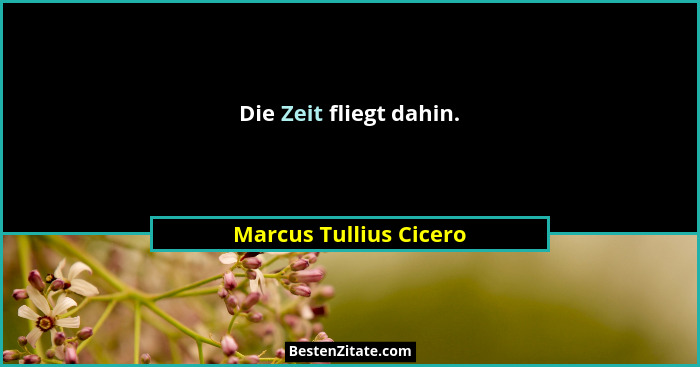 Die Zeit fliegt dahin.... - Marcus Tullius Cicero