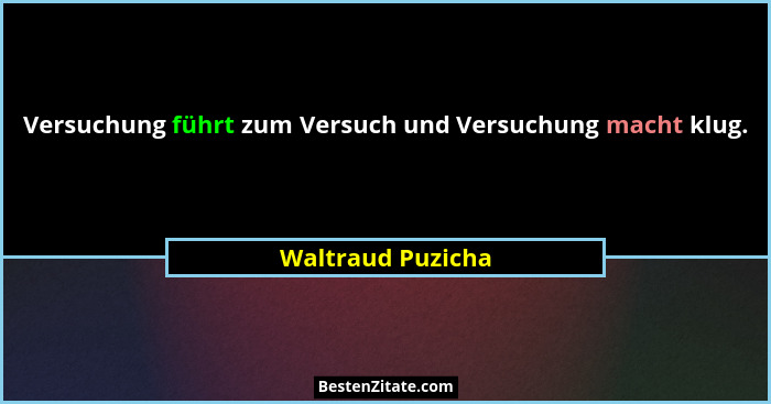 Versuchung führt zum Versuch und Versuchung macht klug.... - Waltraud Puzicha