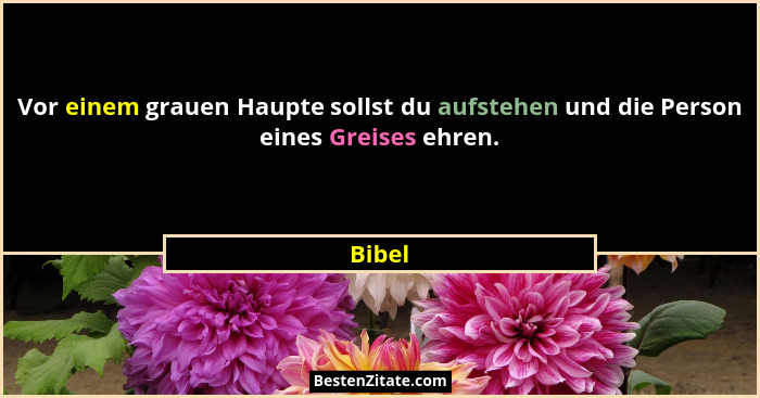 Vor einem grauen Haupte sollst du aufstehen und die Person eines Greises ehren.... - Bibel