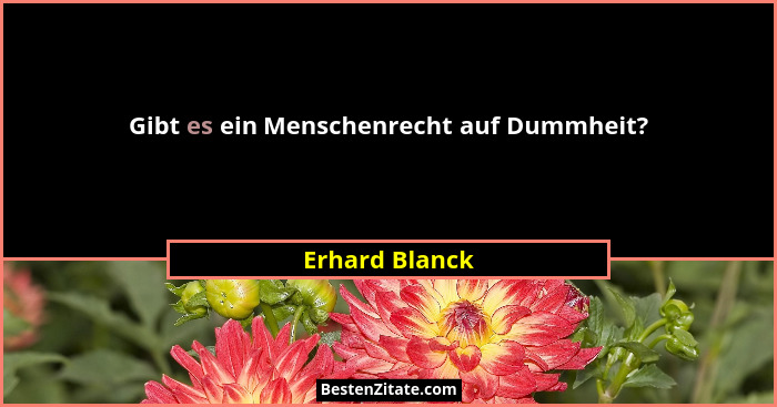Gibt es ein Menschenrecht auf Dummheit?... - Erhard Blanck