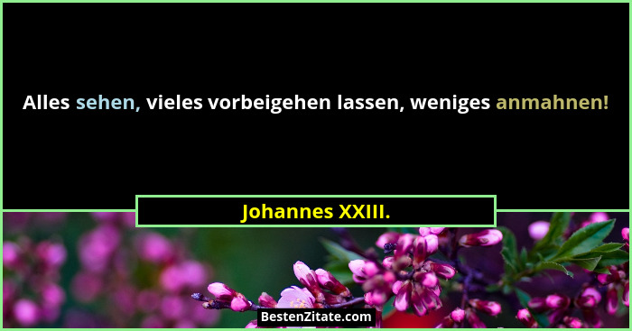 Alles sehen, vieles vorbeigehen lassen, weniges anmahnen!... - Johannes XXIII.