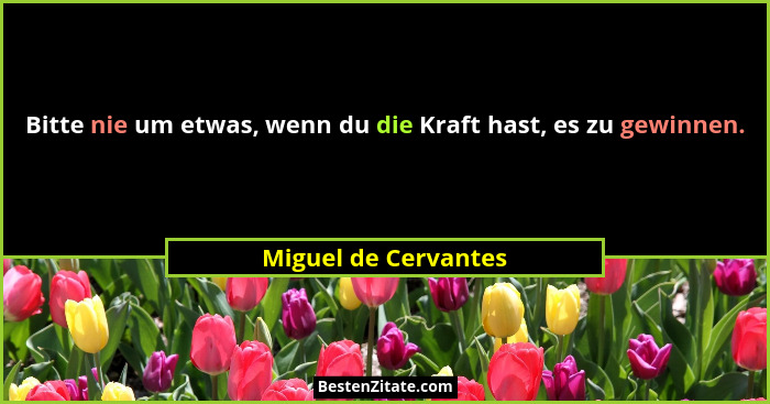 Bitte nie um etwas, wenn du die Kraft hast, es zu gewinnen.... - Miguel de Cervantes