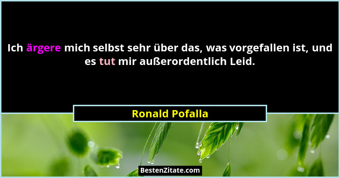 Ich ärgere mich selbst sehr über das, was vorgefallen ist, und es tut mir außerordentlich Leid.... - Ronald Pofalla