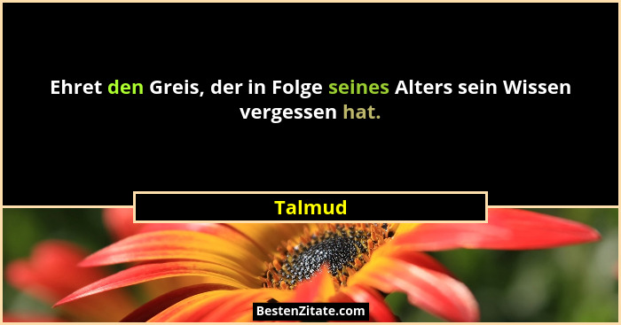 Ehret den Greis, der in Folge seines Alters sein Wissen vergessen hat.... - Talmud