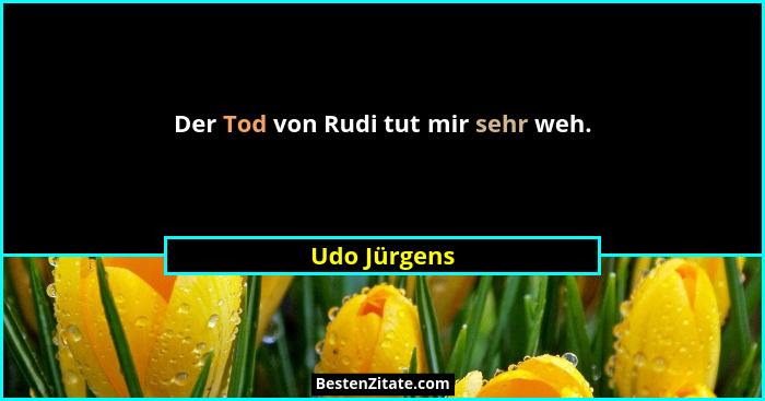 Der Tod von Rudi tut mir sehr weh.... - Udo Jürgens
