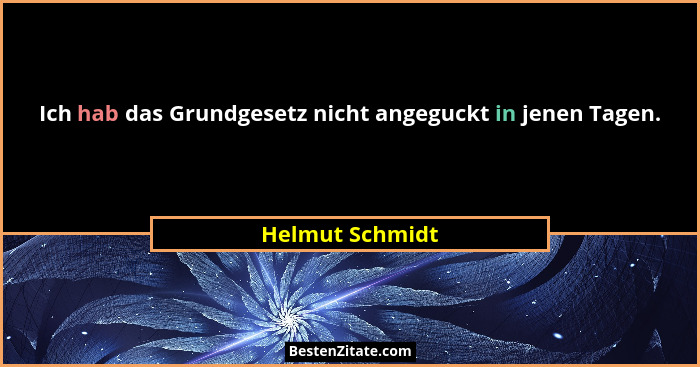 Ich hab das Grundgesetz nicht angeguckt in jenen Tagen.... - Helmut Schmidt