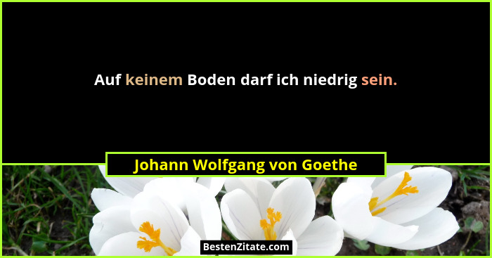Auf keinem Boden darf ich niedrig sein.... - Johann Wolfgang von Goethe