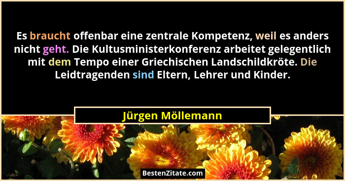 Es braucht offenbar eine zentrale Kompetenz, weil es anders nicht geht. Die Kultusministerkonferenz arbeitet gelegentlich mit dem T... - Jürgen Möllemann