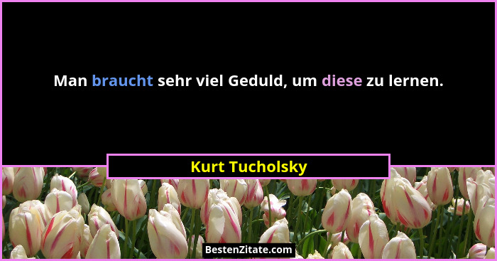 Man braucht sehr viel Geduld, um diese zu lernen.... - Kurt Tucholsky