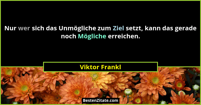 Nur wer sich das Unmögliche zum Ziel setzt, kann das gerade noch Mögliche erreichen.... - Viktor Frankl