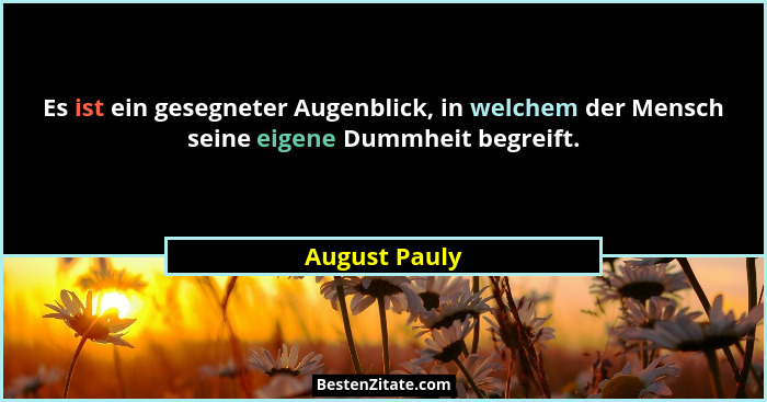Es ist ein gesegneter Augenblick, in welchem der Mensch seine eigene Dummheit begreift.... - August Pauly