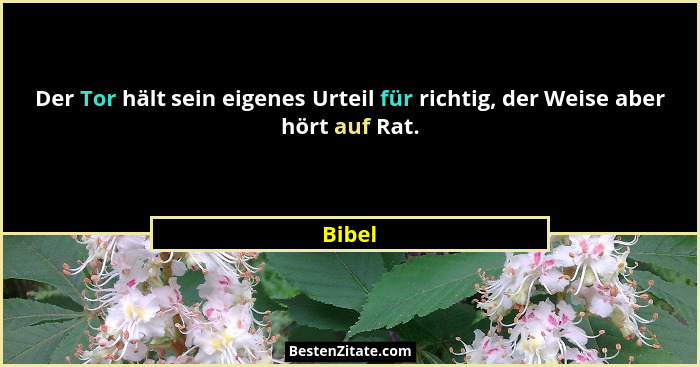 Der Tor hält sein eigenes Urteil für richtig, der Weise aber hört auf Rat.... - Bibel