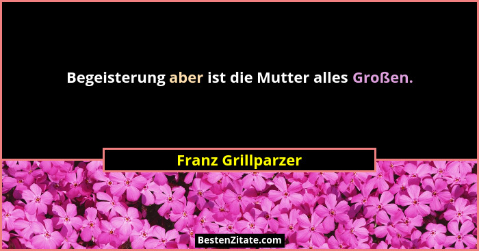 Begeisterung aber ist die Mutter alles Großen.... - Franz Grillparzer