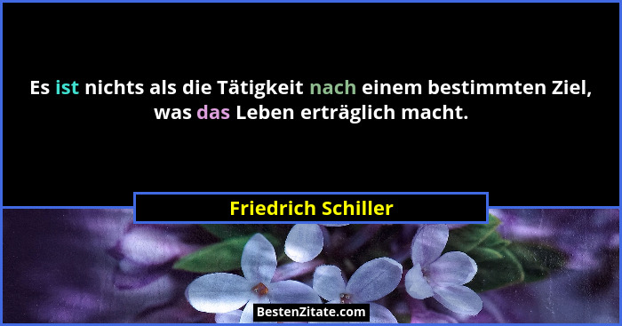 Es ist nichts als die Tätigkeit nach einem bestimmten Ziel, was das Leben erträglich macht.... - Friedrich Schiller