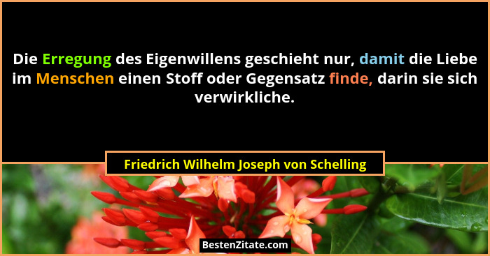 Die Erregung des Eigenwillens geschieht nur, damit die Liebe im Menschen einen Stoff oder Gegensatz finde, da... - Friedrich Wilhelm Joseph von Schelling