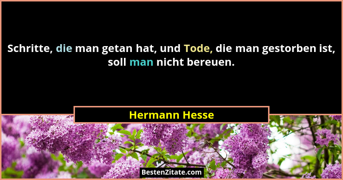 Schritte, die man getan hat, und Tode, die man gestorben ist, soll man nicht bereuen.... - Hermann Hesse