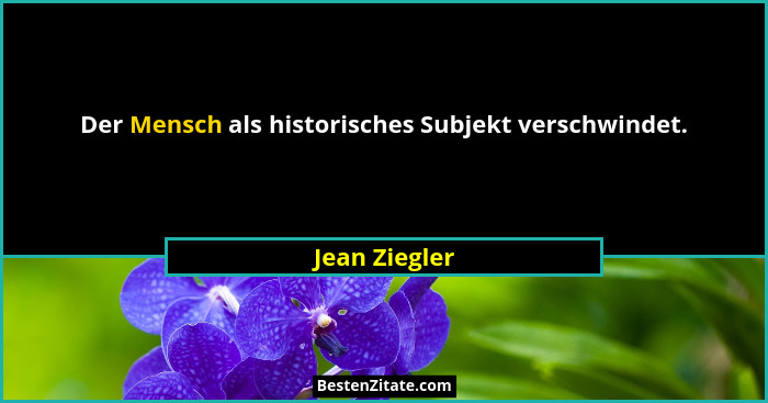 Der Mensch als historisches Subjekt verschwindet.... - Jean Ziegler