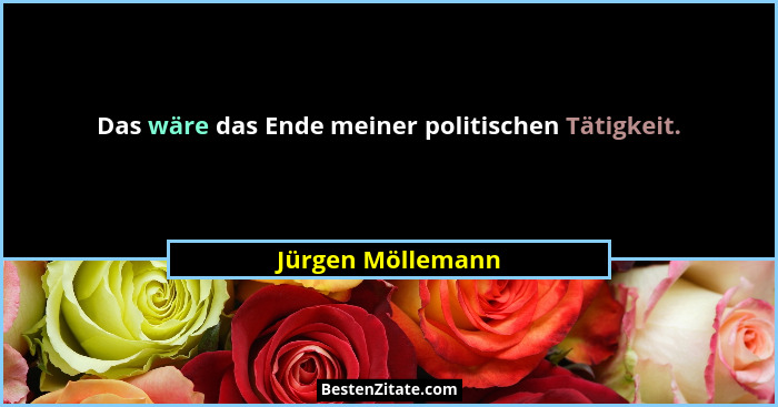 Das wäre das Ende meiner politischen Tätigkeit.... - Jürgen Möllemann