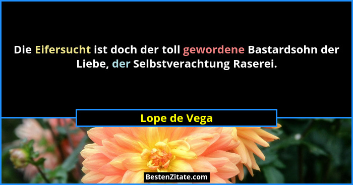 Die Eifersucht ist doch der toll gewordene Bastardsohn der Liebe, der Selbstverachtung Raserei.... - Lope de Vega