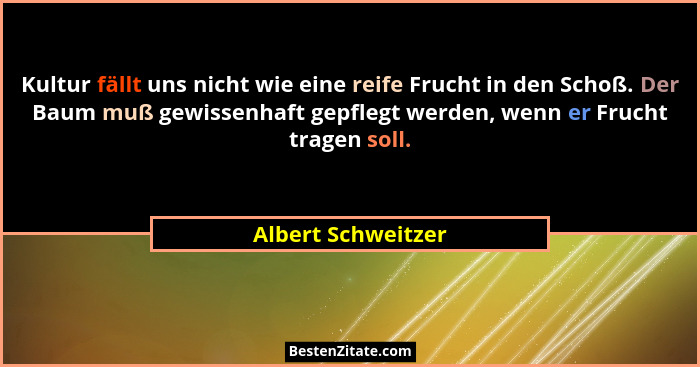 Kultur fällt uns nicht wie eine reife Frucht in den Schoß. Der Baum muß gewissenhaft gepflegt werden, wenn er Frucht tragen soll.... - Albert Schweitzer