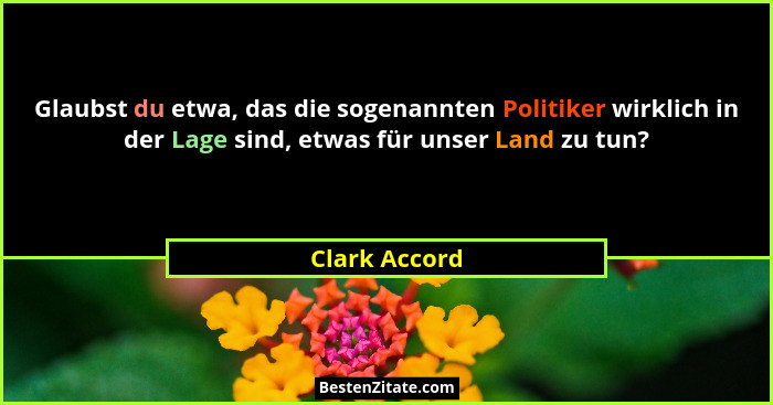Glaubst du etwa, das die sogenannten Politiker wirklich in der Lage sind, etwas für unser Land zu tun?... - Clark Accord