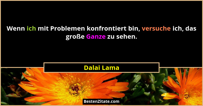 Wenn ich mit Problemen konfrontiert bin, versuche ich, das große Ganze zu sehen.... - Dalai Lama