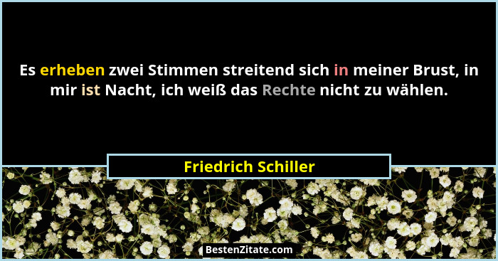 Es erheben zwei Stimmen streitend sich in meiner Brust, in mir ist Nacht, ich weiß das Rechte nicht zu wählen.... - Friedrich Schiller