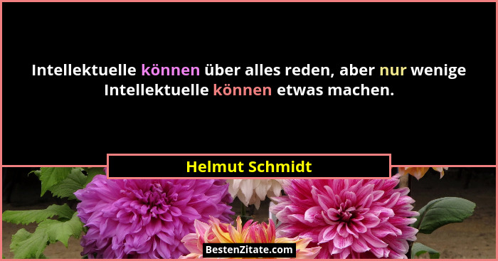 Intellektuelle können über alles reden, aber nur wenige Intellektuelle können etwas machen.... - Helmut Schmidt
