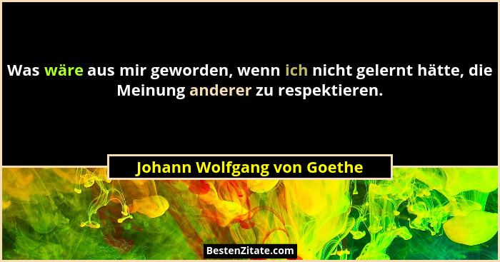 Was wäre aus mir geworden, wenn ich nicht gelernt hätte, die Meinung anderer zu respektieren.... - Johann Wolfgang von Goethe